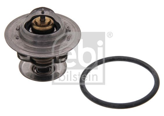 Thermostat, Kühlmittel