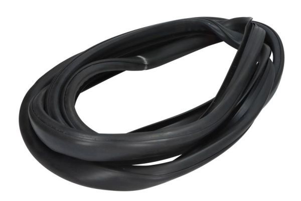 Dichtung, Frontscheibe