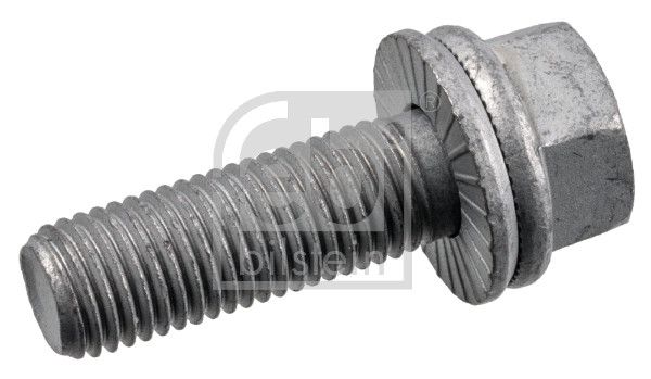 Schraube, Bremssattel