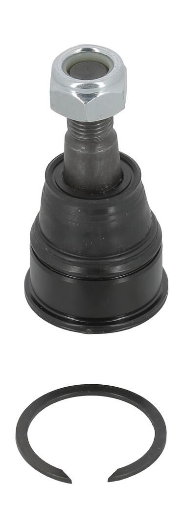 Trag-/Führungsgelenk