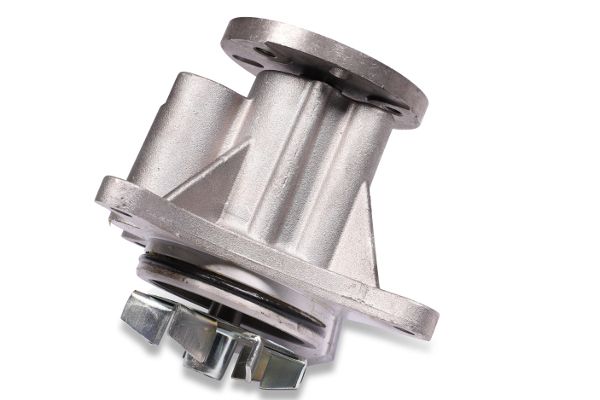 Wasserpumpe, Motorkühlung