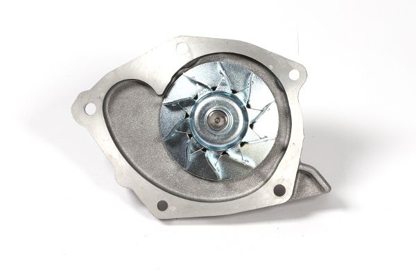 Wasserpumpe, Motorkühlung