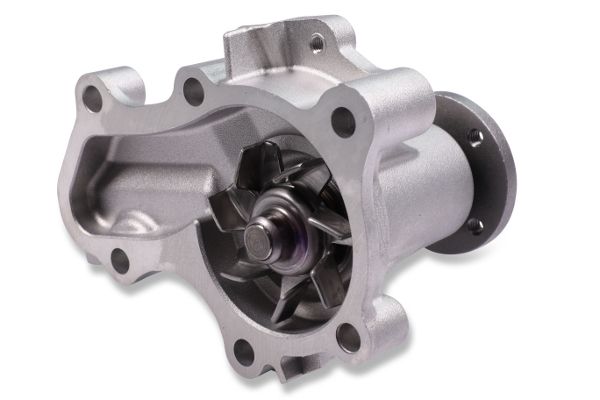 Wasserpumpe, Motorkühlung