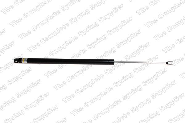 Gasfeder, Koffer-/Laderaum