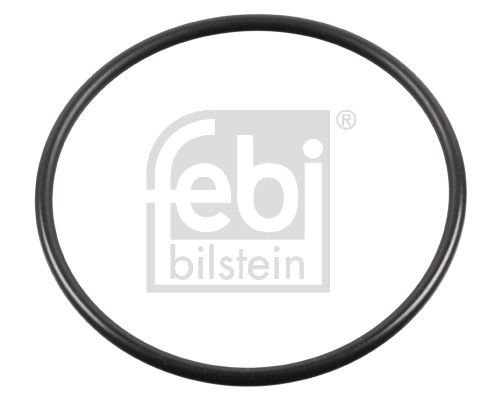 Dichtring, Achsschenkel