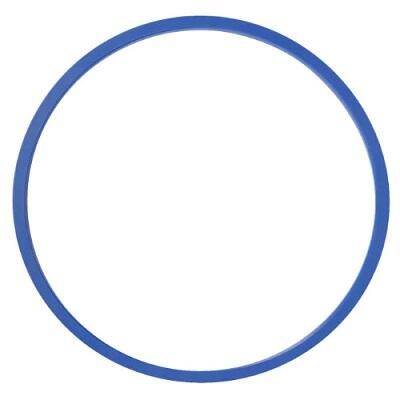 Wellendichtring, Radnabe