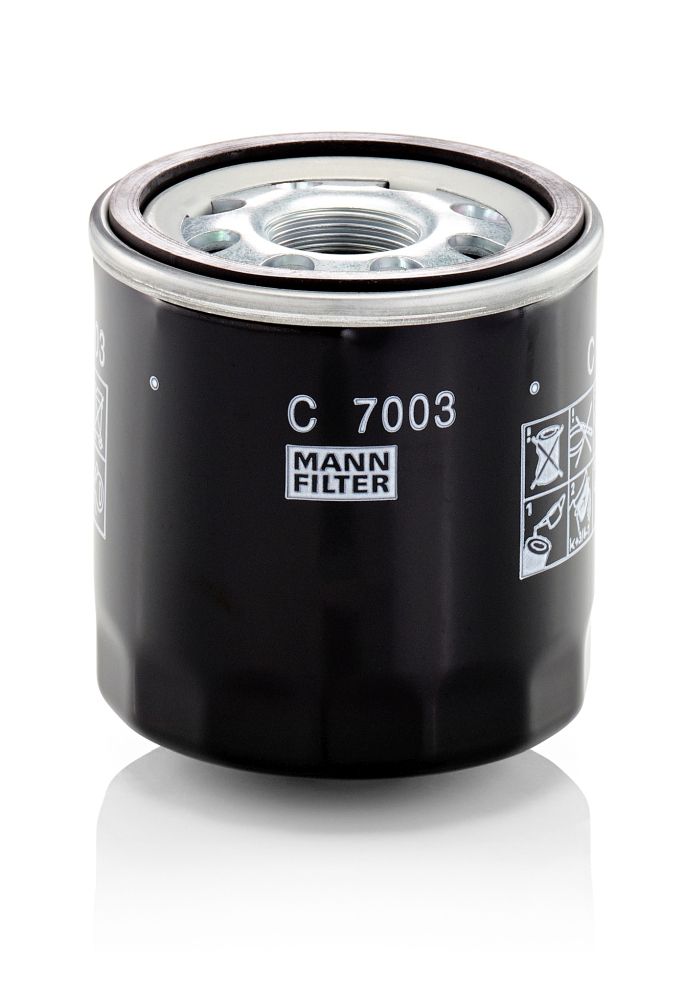 Filter, Entlüftung (Kraftstofftank)