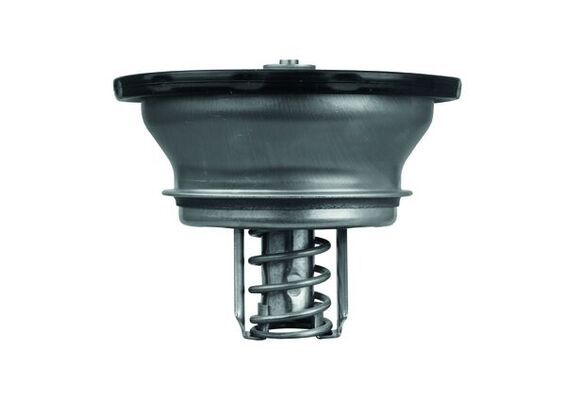 Thermostat, Kühlmittel