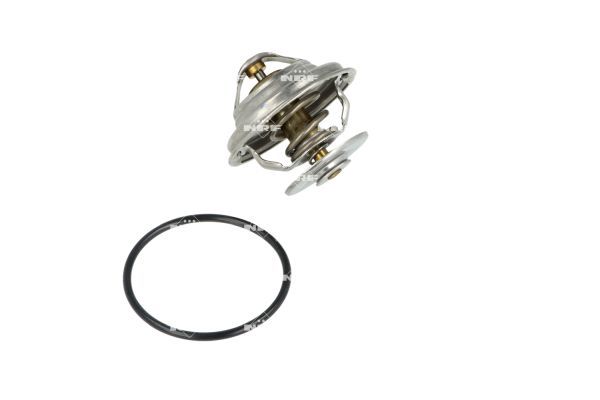 Thermostat, Kühlmittel