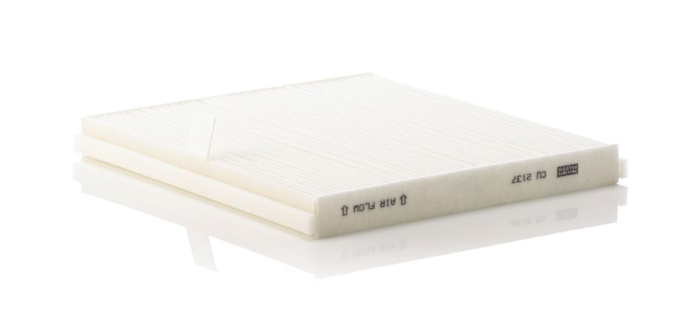 Filter, Innenraumluft