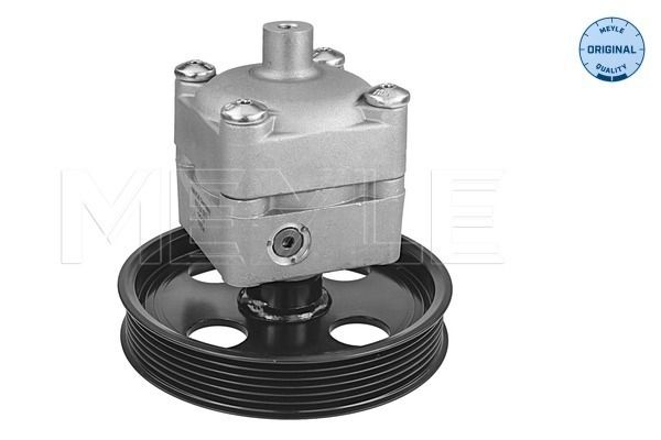 Hydraulikpumpe, Lenkung