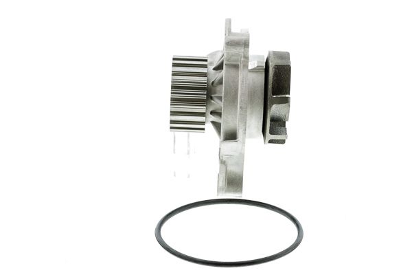 Wasserpumpe, Motorkühlung