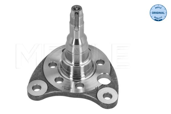 Achszapfen, Achskörper