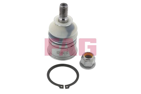 Trag-/Führungsgelenk