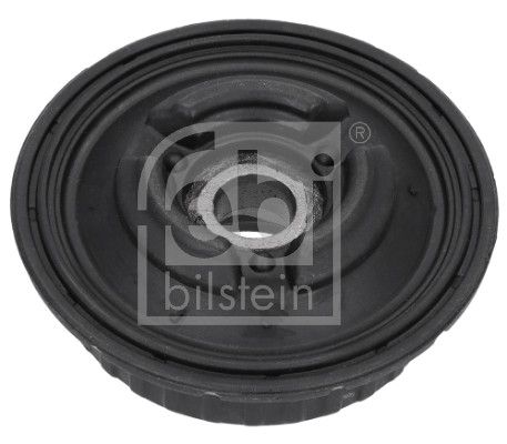 Federbeinstützlager