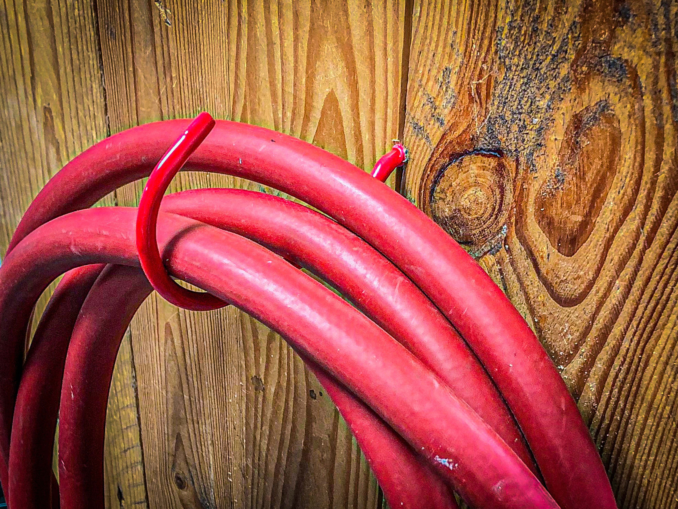 BGS Wand- und Decken-Schraubhaken-Sortiment | 8-tlg.