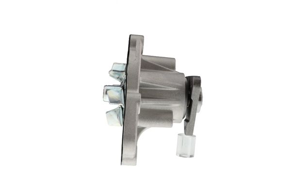 Wasserpumpe, Motorkühlung