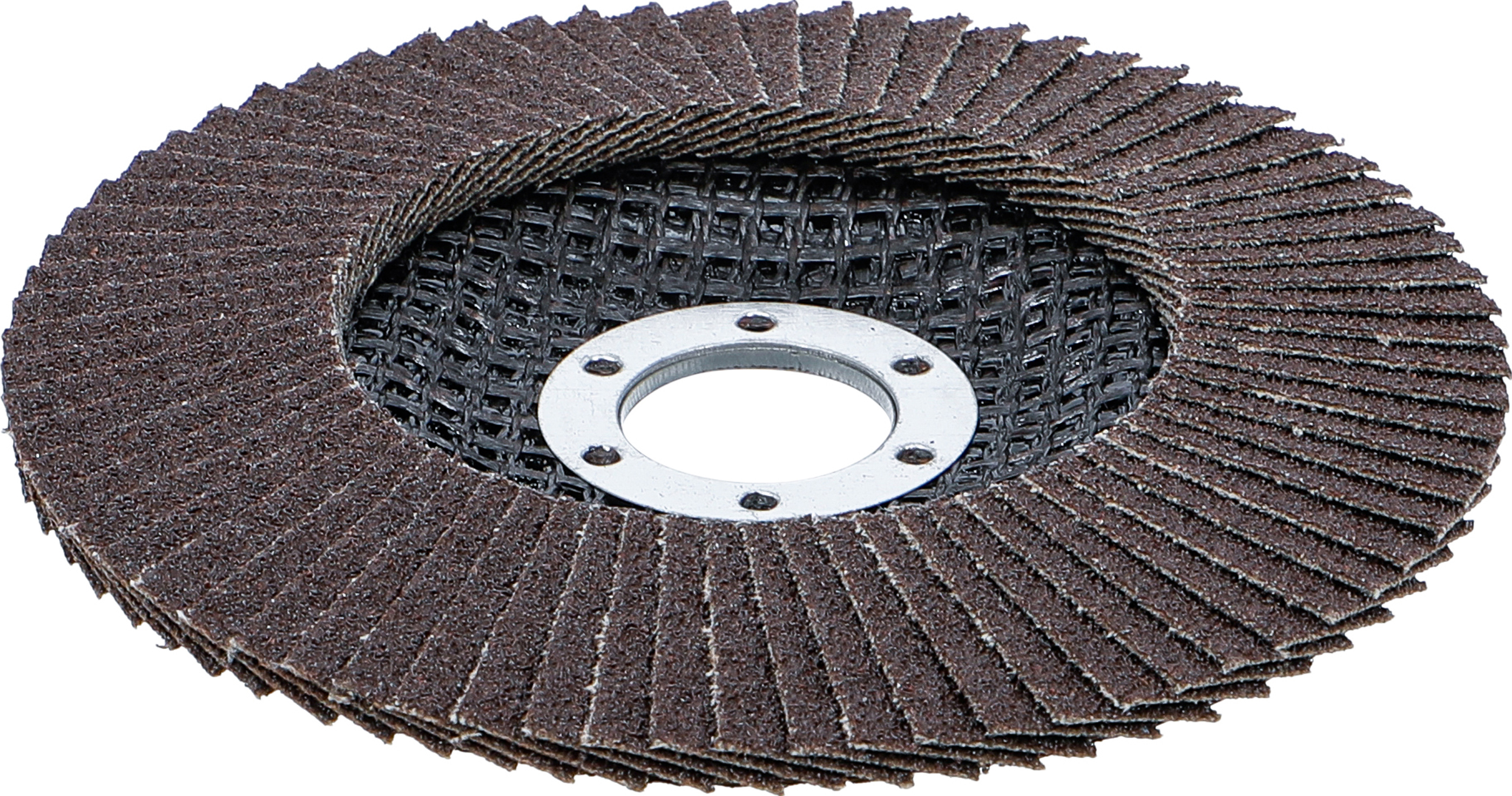 BGS Fächer-Schleif-Scheibe | Ø 125 mm | K 80