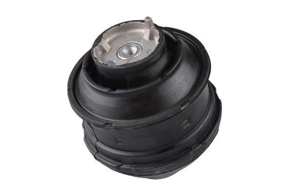 Lagerung, Motor “TEDGUM 0,98 kg, vorne links , 1 ”