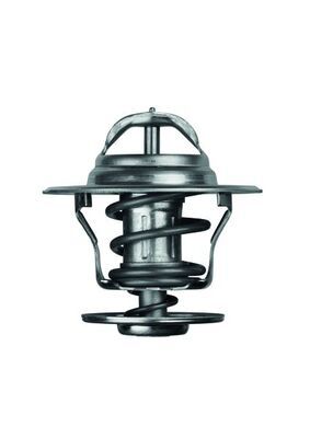 Thermostat, Kühlmittel