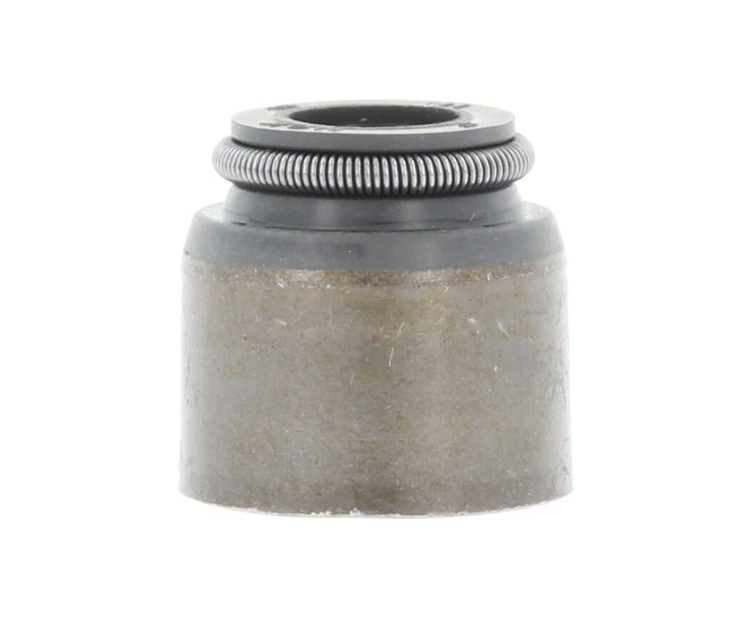 Dichtring, Ventilschaft