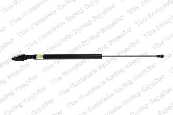 Gasfeder, Koffer-/Laderaum