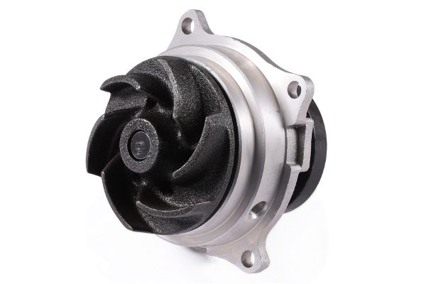 Wasserpumpe, Motorkühlung