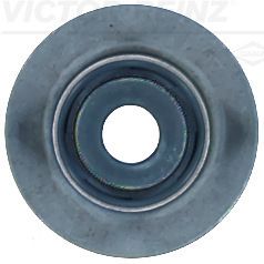 Dichtring, Ventilschaft