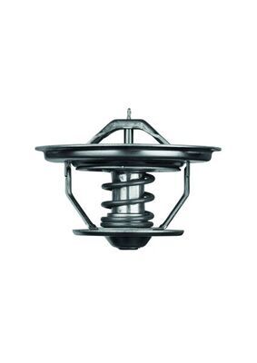 Thermostat, Kühlmittel