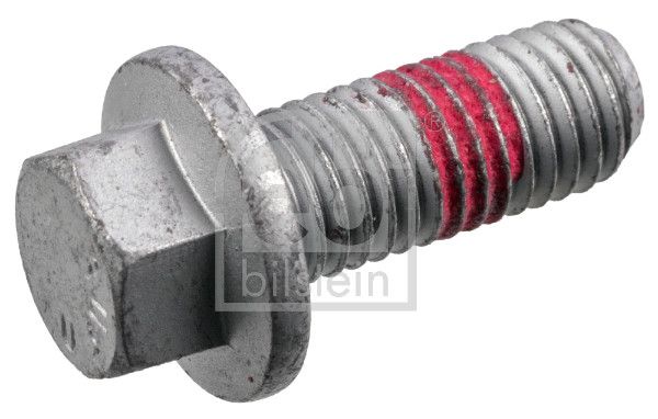 Schraube, Bremssattel