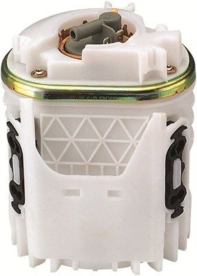 Kraftstofffördermodul