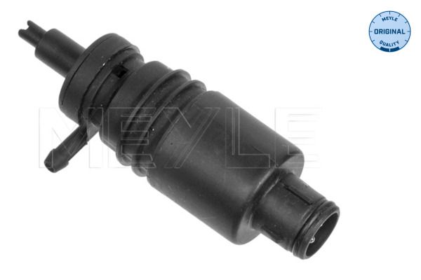 Waschwasserpumpe, Scheibenreinigung