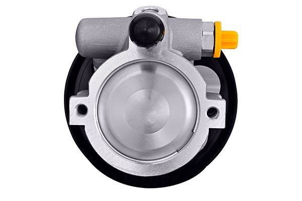 Hydraulikpumpe, Lenkung