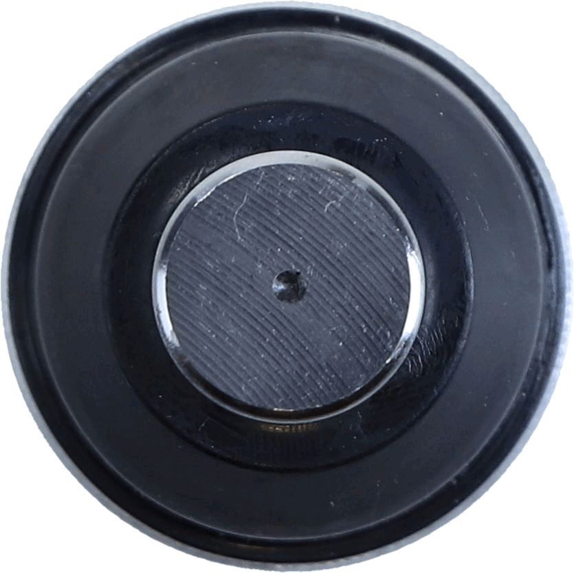 Trag-/Führungsgelenk