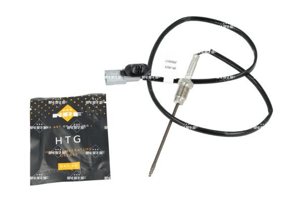 Sensor, Abgastemperatur