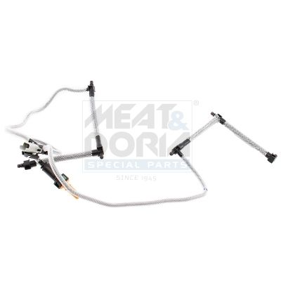 Schlauch, Leckkraftstoff