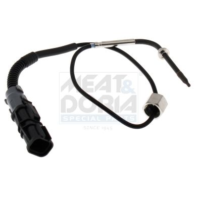 Sensor, Abgastemperatur