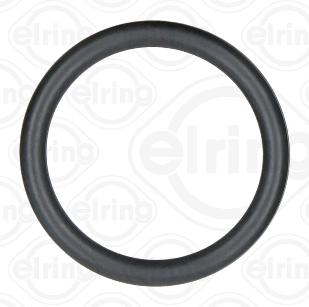 Dichtring, Einspritzventil