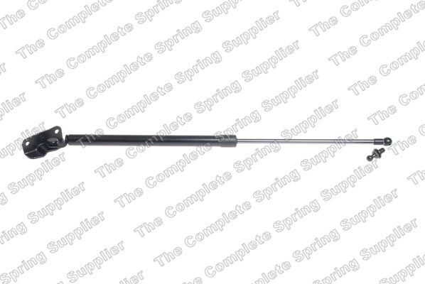 Gasfeder, Koffer-/Laderaum