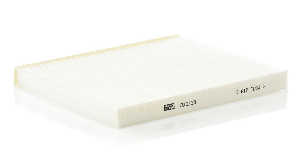 Filter, Innenraumluft