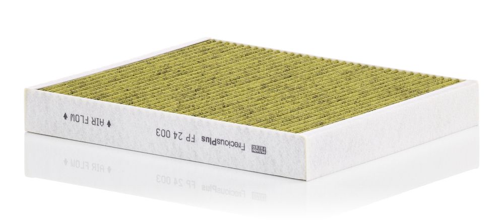 Filter, Innenraumluft