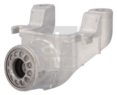 Federbeinstützlager