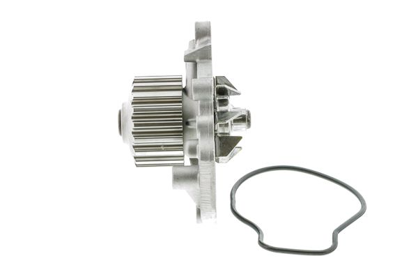 Wasserpumpe, Motorkühlung