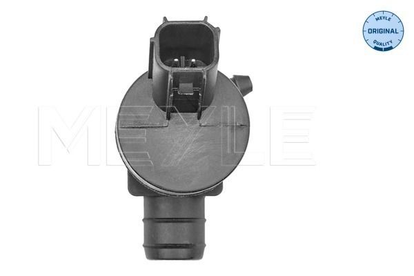 Waschwasserpumpe, Scheibenreinigung