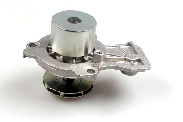 Wasserpumpe, Motorkühlung