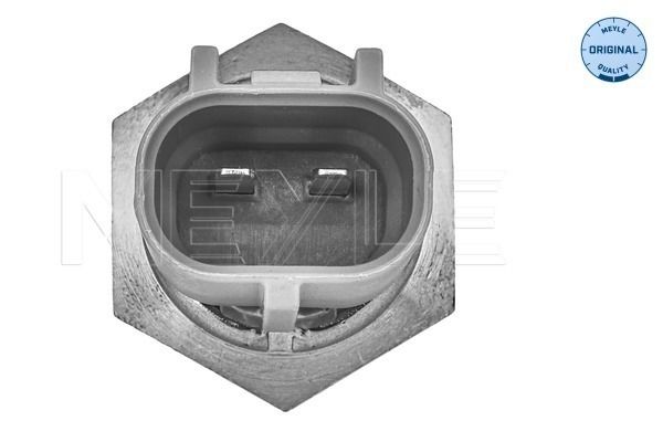 Sensor, Ansauglufttemperatur