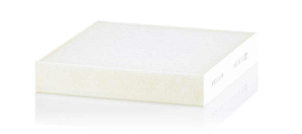 Filter, Innenraumluft