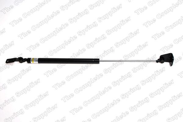 Gasfeder, Koffer-/Laderaum