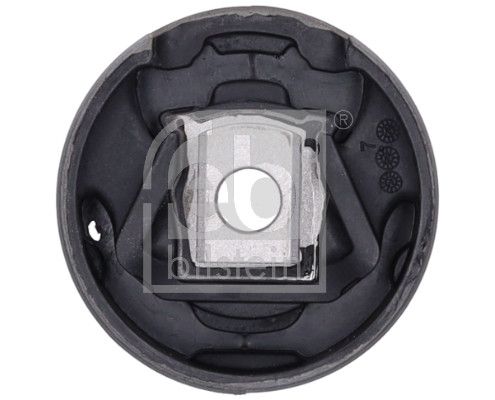 Halter, Motoraufhängung