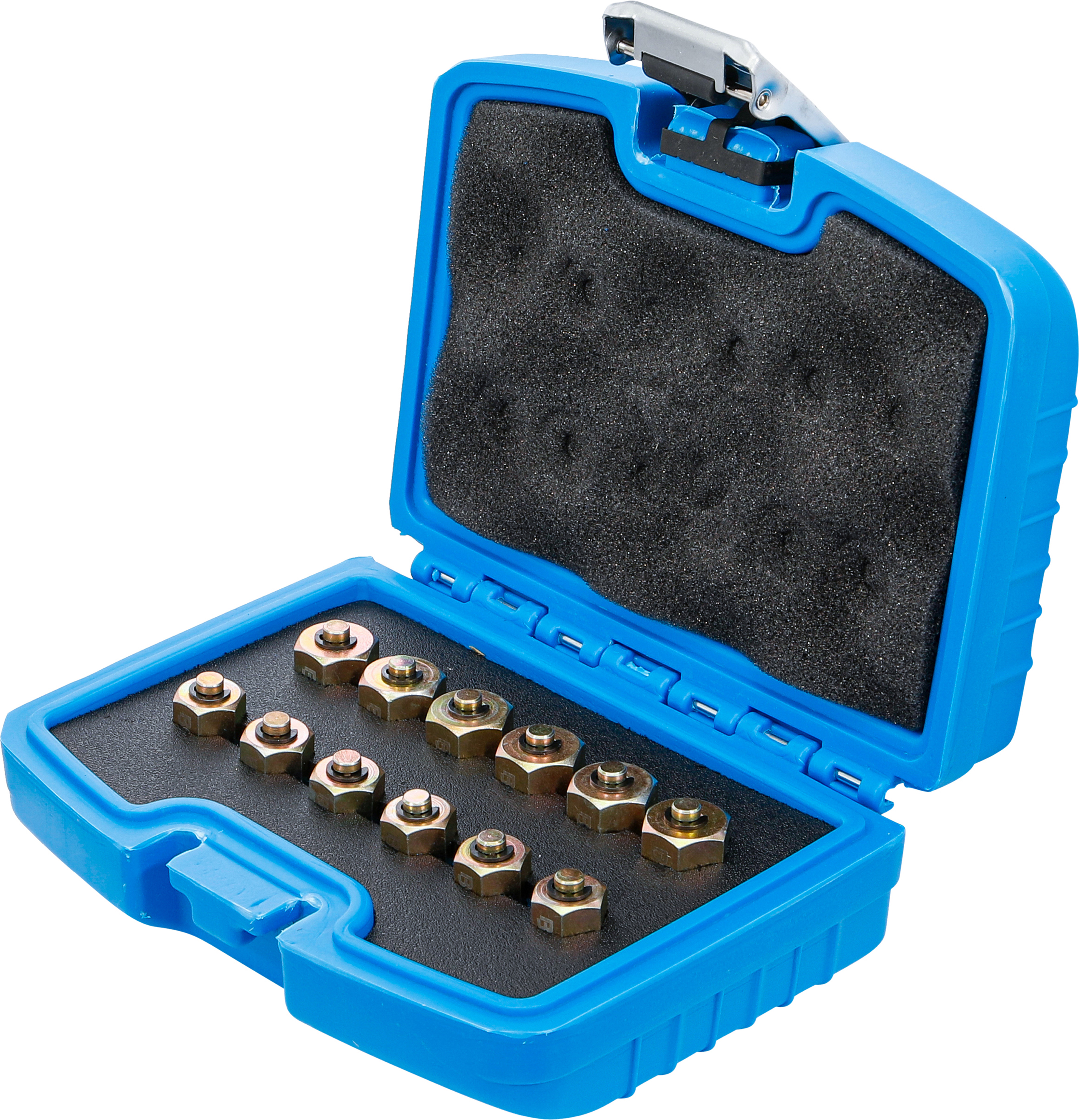 BGS Injektor-Verschlussstopfen-Satz | 12-tlg.